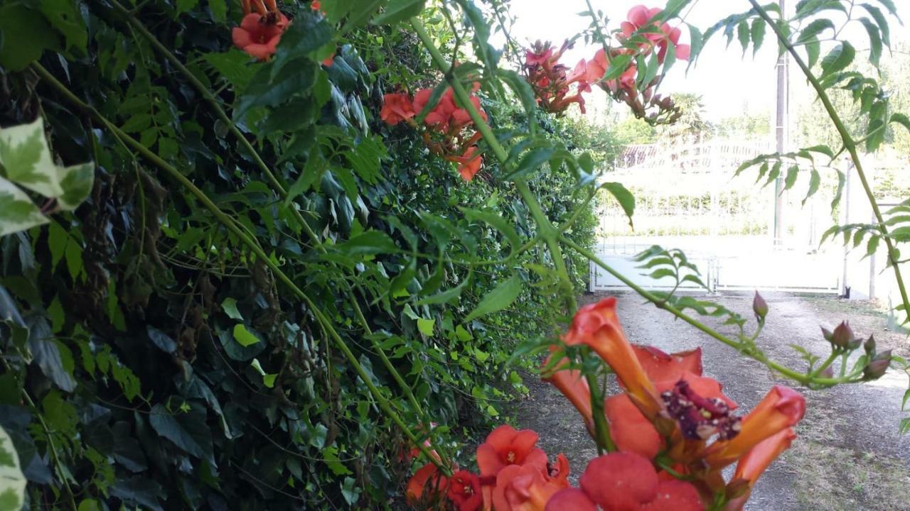 Ma Maison Familiale Portesienne Portets Esterno foto